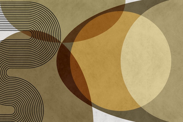 Mid Century Modern Organic Geo