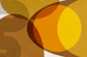 Mid Century Modern Abstract Organic Earthy