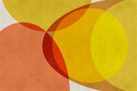 Mid Century Modern Organic Autumn papiers peint