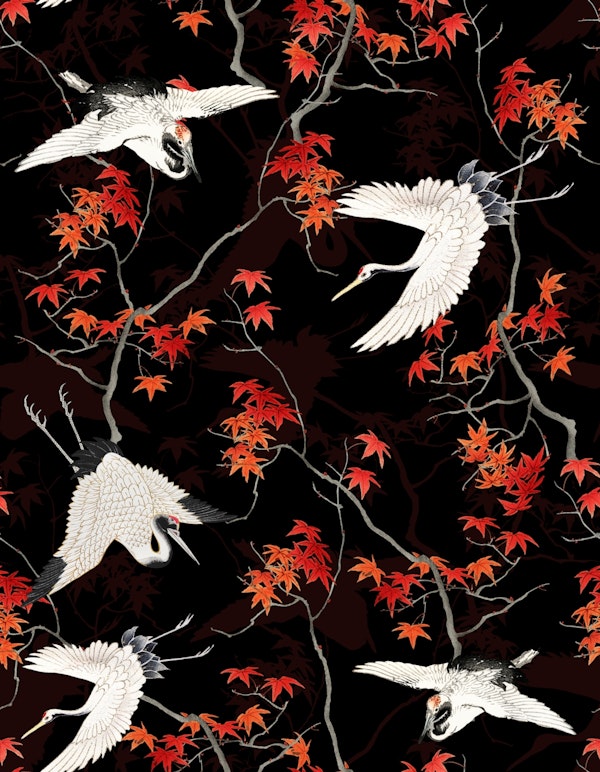 Chinese Cranes And Branches