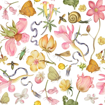 Pattern