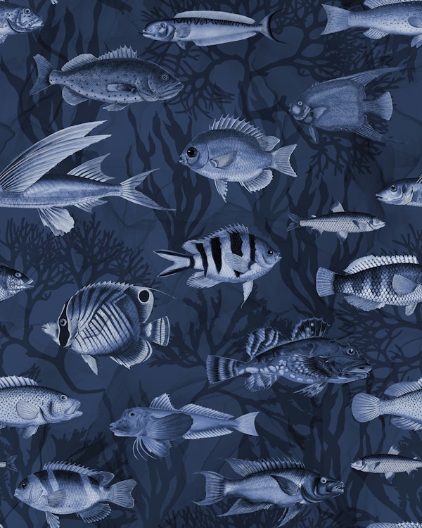 Midnight Coral Reef Deep Blue Ocean