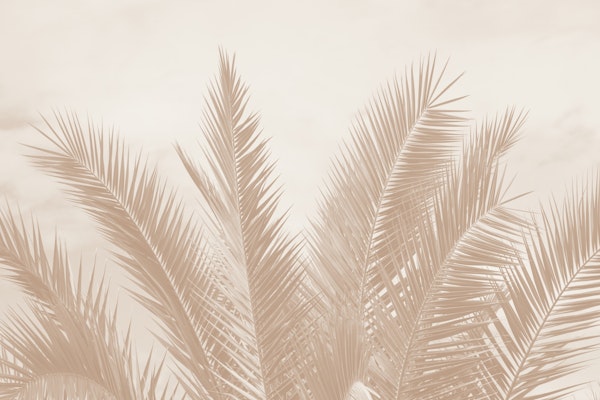 Dreamy Caribbean Palms 4 (Warm Beige)