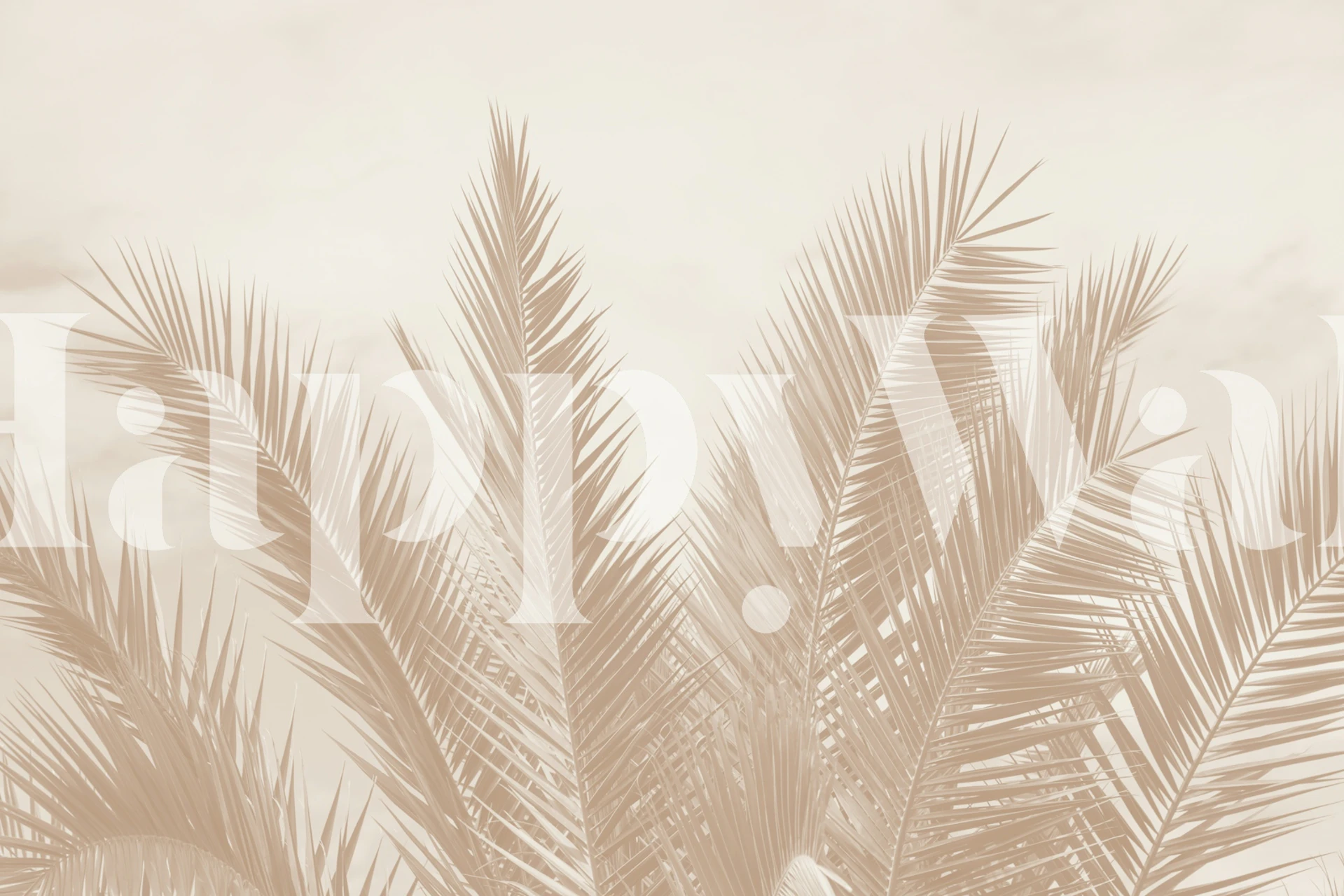 Dreamy Caribbean Palms tapetti huoneessa