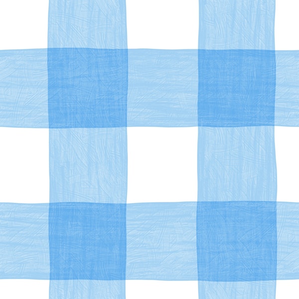Hand Painted Gingham in Sky Blue Checkerboard