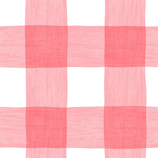 Hand Painted Gingham Strawberry Pink Checkers