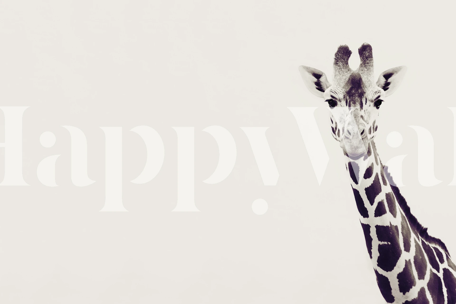 Giraffe portrait wallpaper in a room