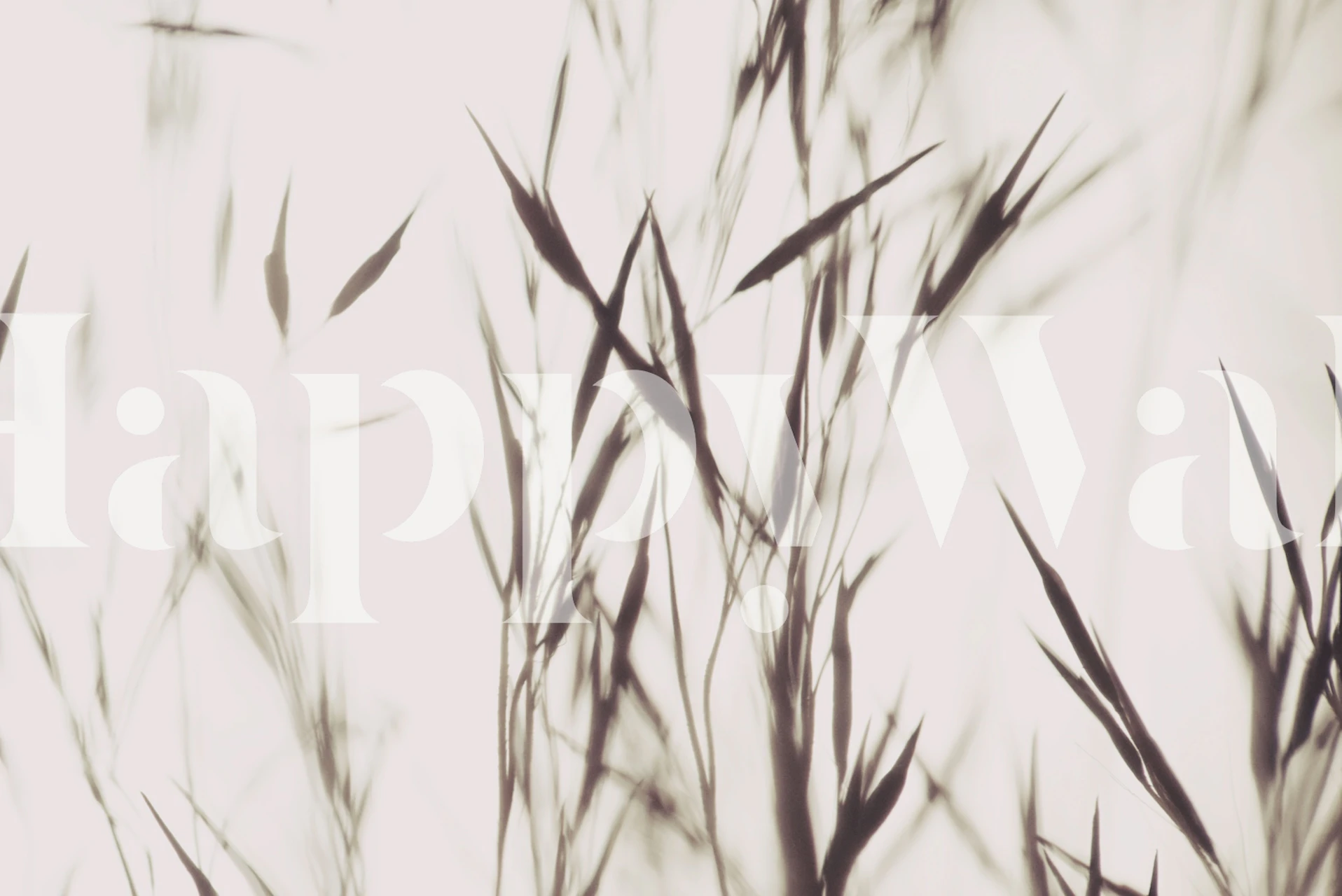 Elegant Grass Beige Tapet I Ett Rum