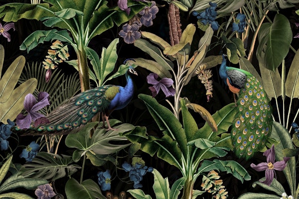Exotic Peacock Jungle Midnight Garden