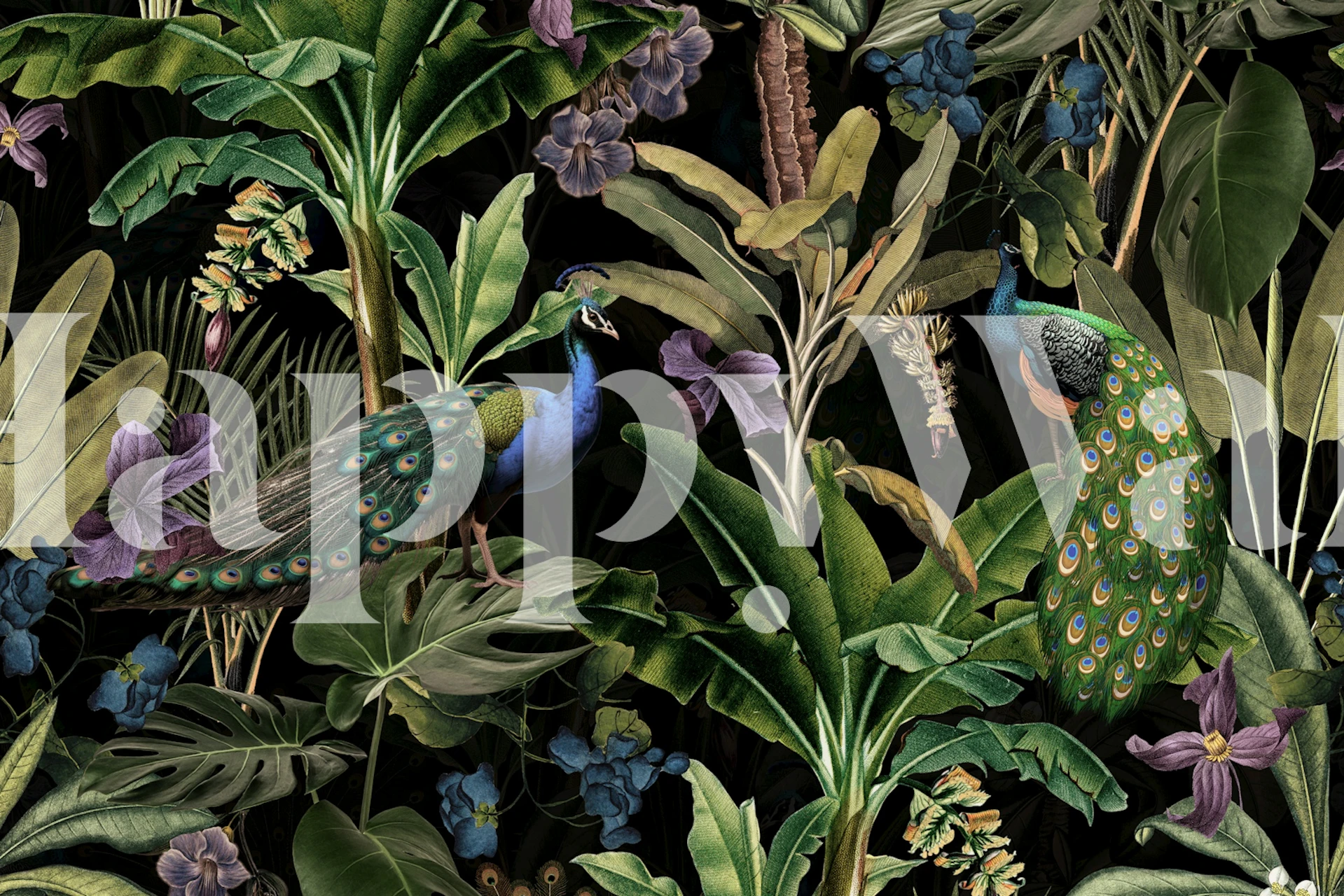 Exotic peacock wallpaper in a lush room