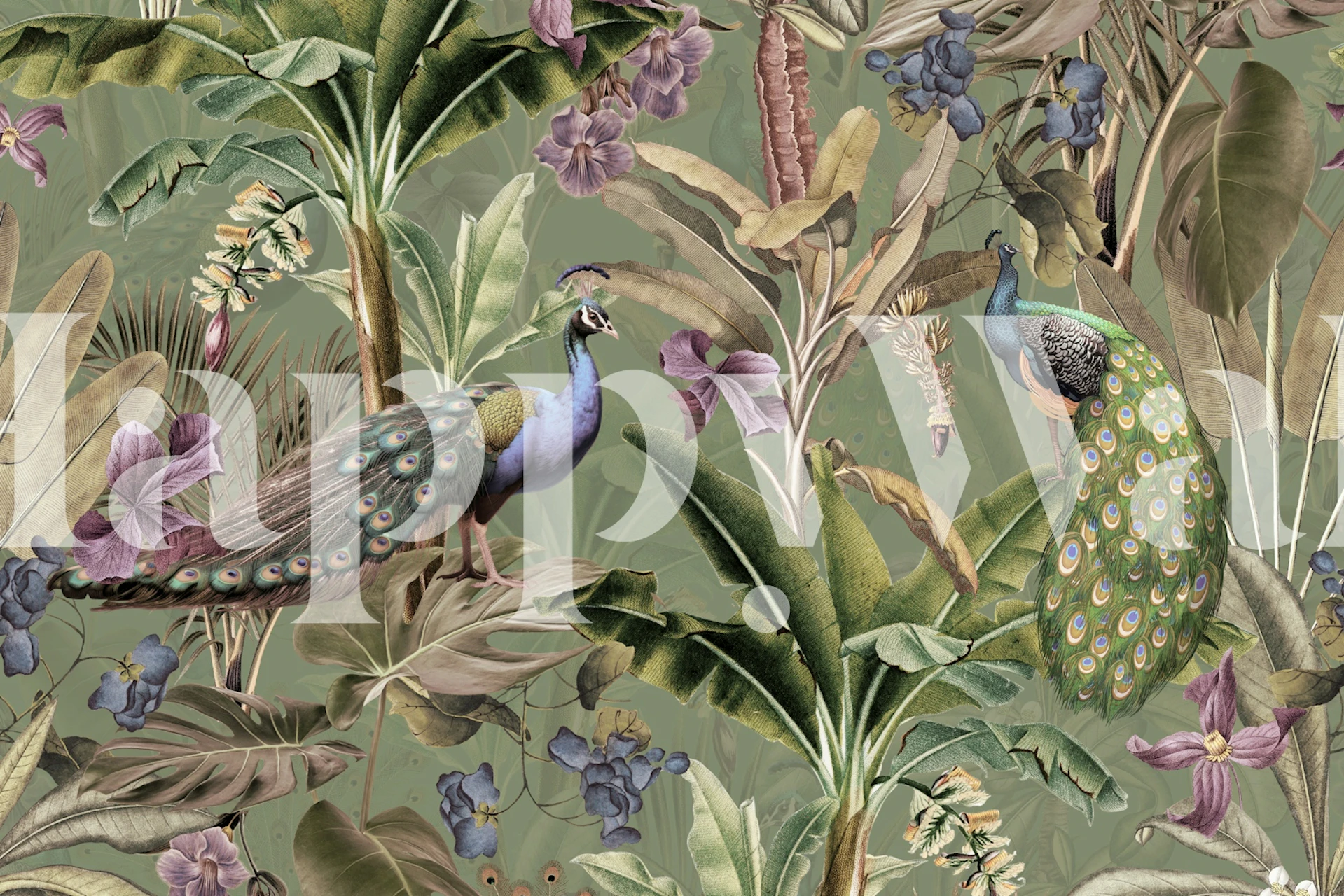 Sepia tropical vintage peacock rainforest wallpaper