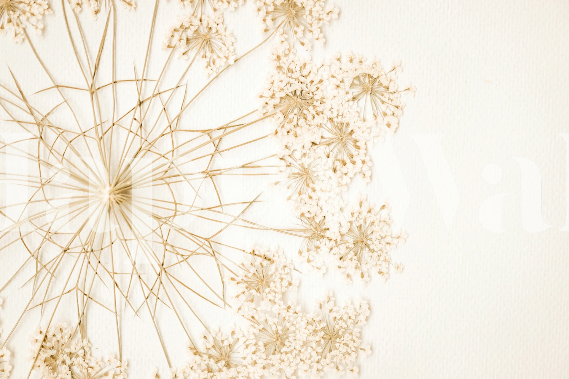 Dried wildflower behang in een kamer