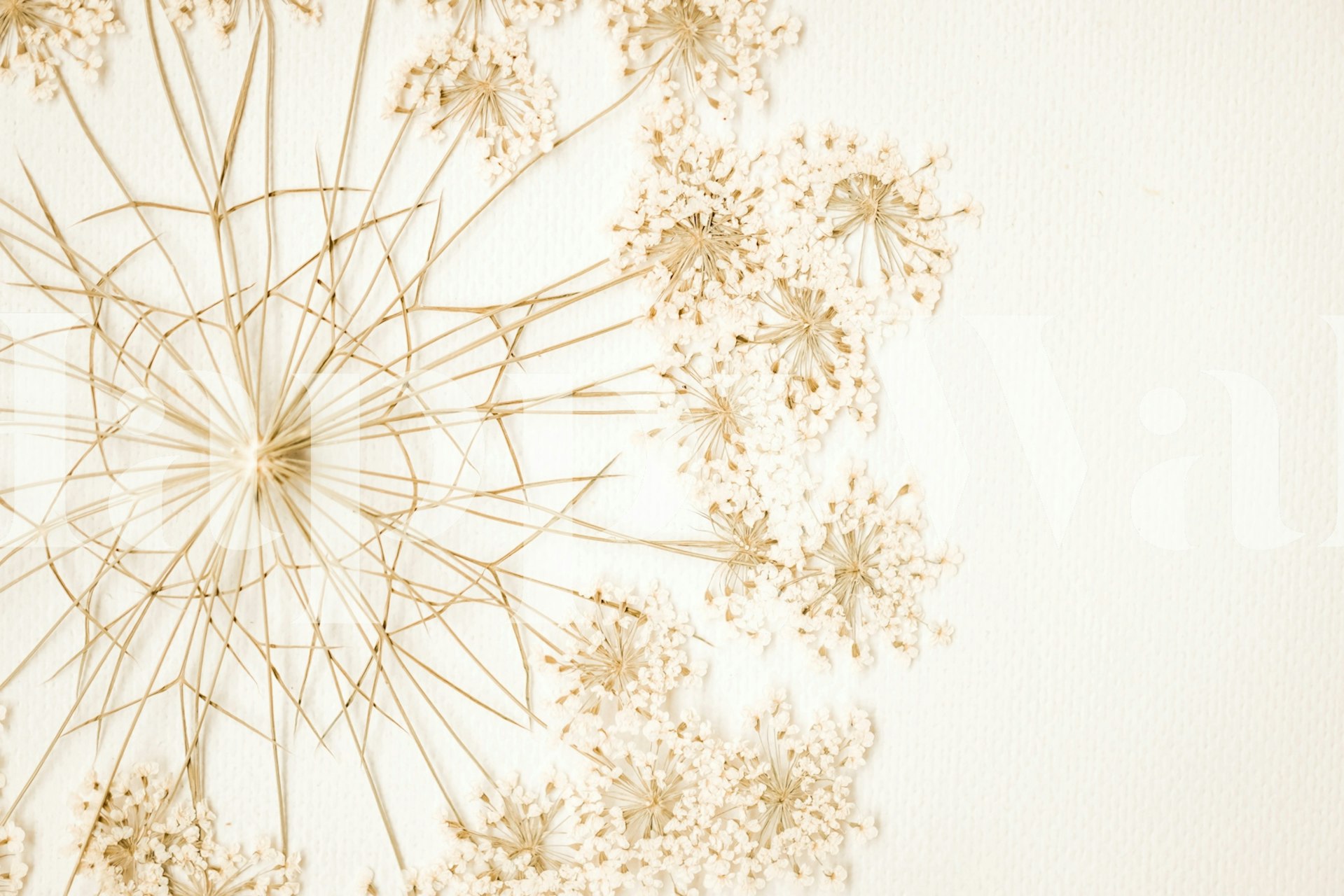 Dried wildflower papier peint dans une pièce