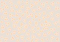 DAISY FLOWER PEACH RETRO PATTERN tapety