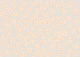 DAISY FLOWER PEACH RETRO PATTERN