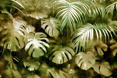 Muurschildering