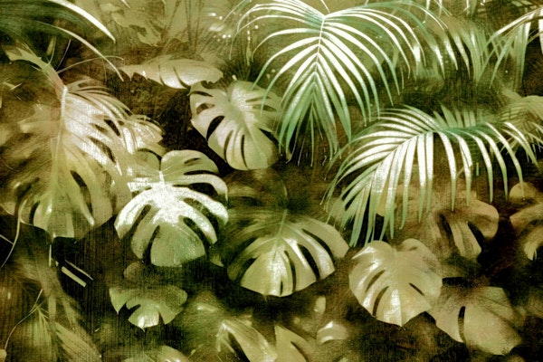 Washed Out Tropical Jungle Leaves
