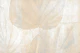 Soft Washed Tropical Leaf