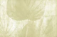 Soft Washed Rainforest Leaves