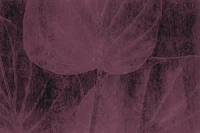 Soft Washed Rainforest Leaves wallpaper
