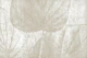 Neutral Rainforest Leaf