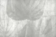 Grey Washed Tropical Leaves