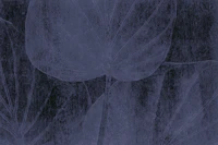 Grey Washed Tropical Leaves wallpaper