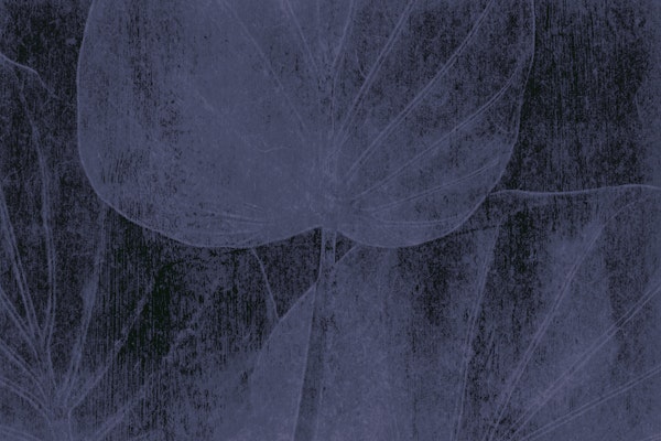Grey Washed Tropical Leaves