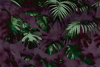 Tropical Rainforest Washed Out tapete