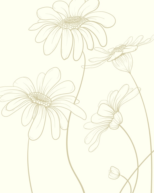Daisies simple on ivory