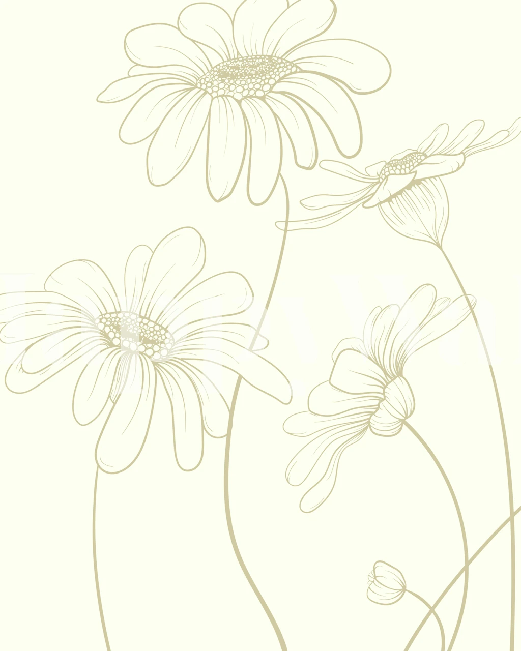 Floral wallpaper design with daisies on ivory