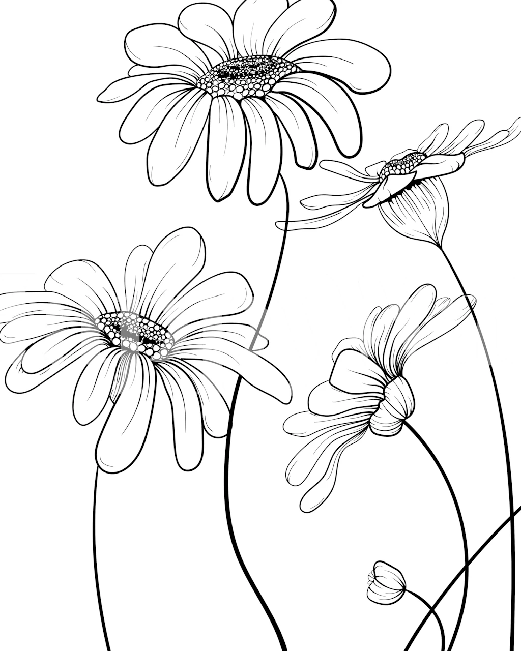 Daisies lineart black and white tapeta w pokoju