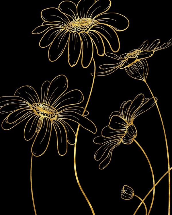 Gold daisies