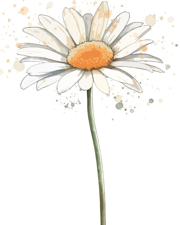 Captivating single daisy