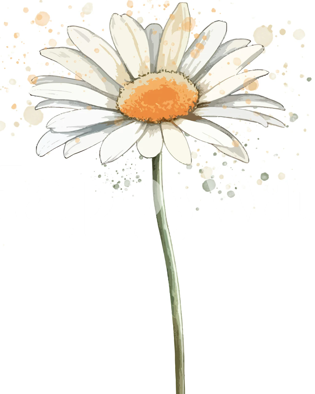 Single daisy flower with orange center and white petals wallpaper