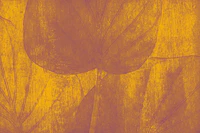 Yellow Jungle Leaves tapet
