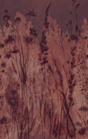 Warm Wabi Sabi Forest wallpaper
