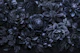Midnight Floralscape Moody Baroque Dark Blue