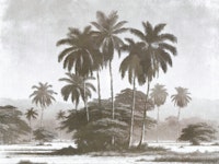 Tropical Landscape Etching papiers peint