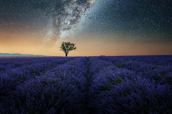 Night in Provence