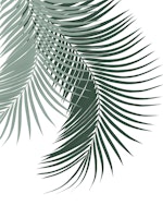 Palm Leaves Soft Dark Green 1 ταπετσαρία