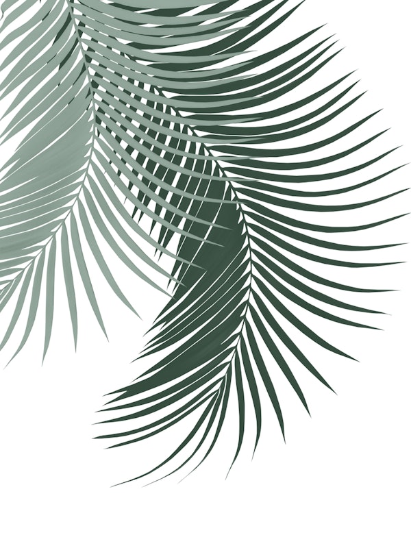 Palm Leaves Soft Dark Green 1