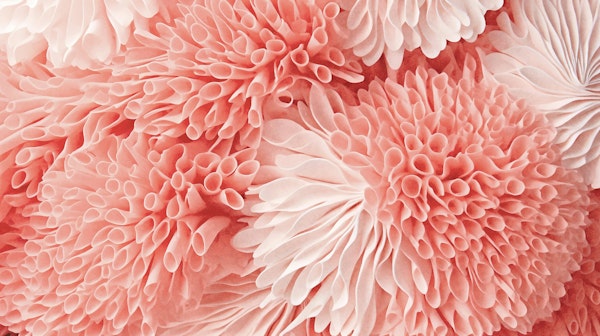 Coral Reef Pastel Peachy Pink Backdrop