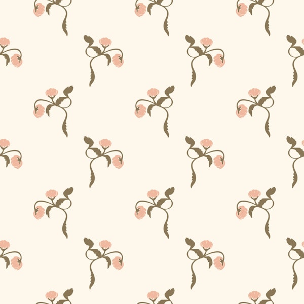 Peony flowers large – pink and cream