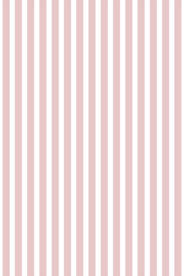 Classic thin stripes muted pink 3244B