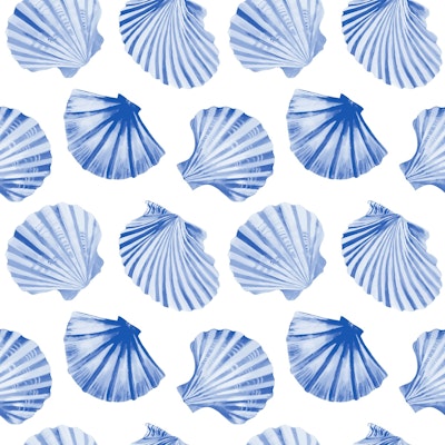 Modello