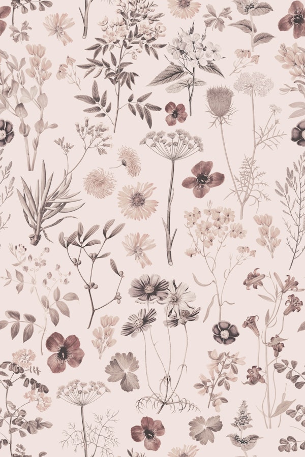 Swedish Midsummer Wildflower Meadow Blush