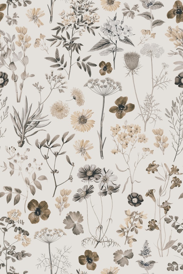 Swedish Midsummer Wildflower Meadow Beige