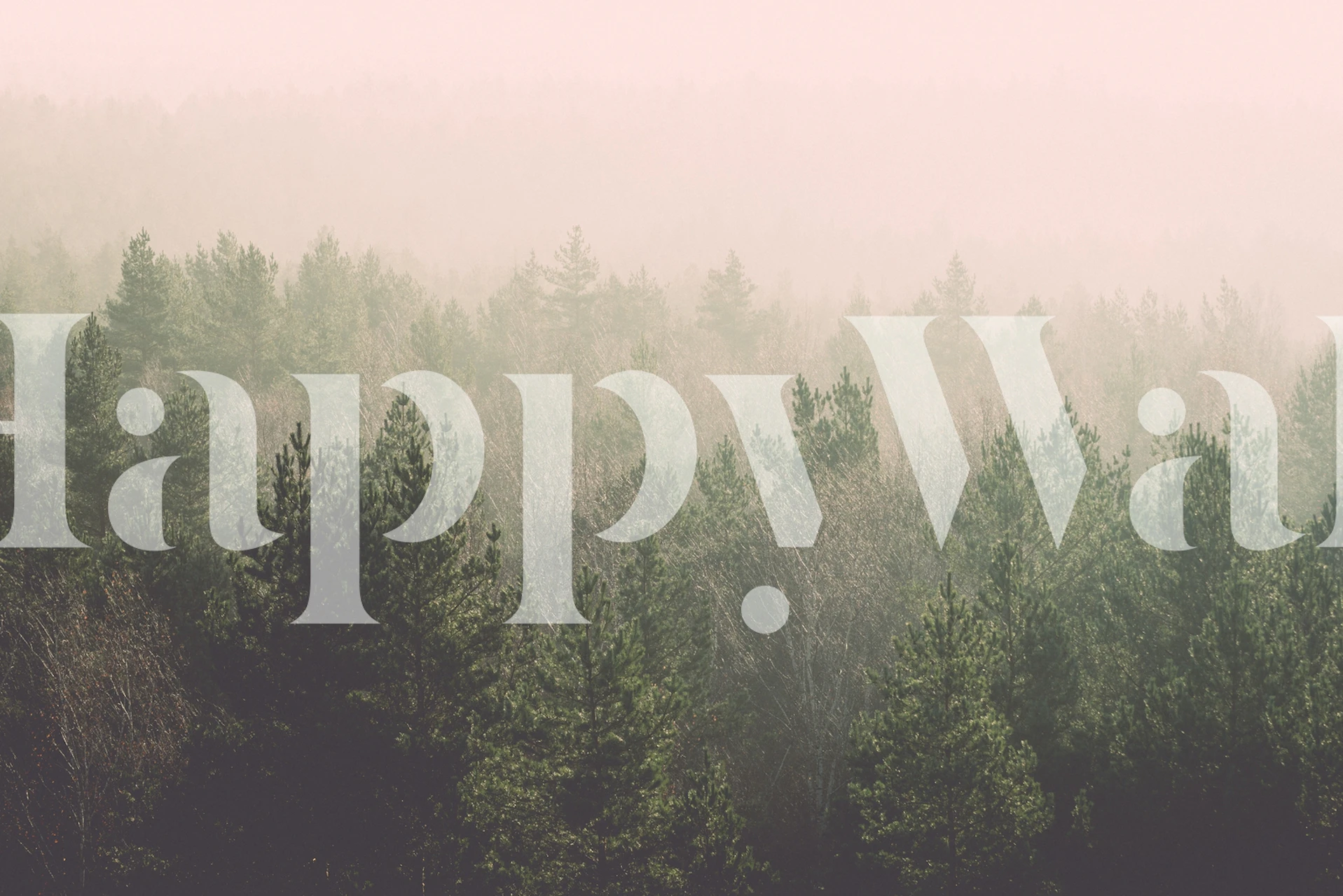 Green trees with misty pink backdrop wallpaper