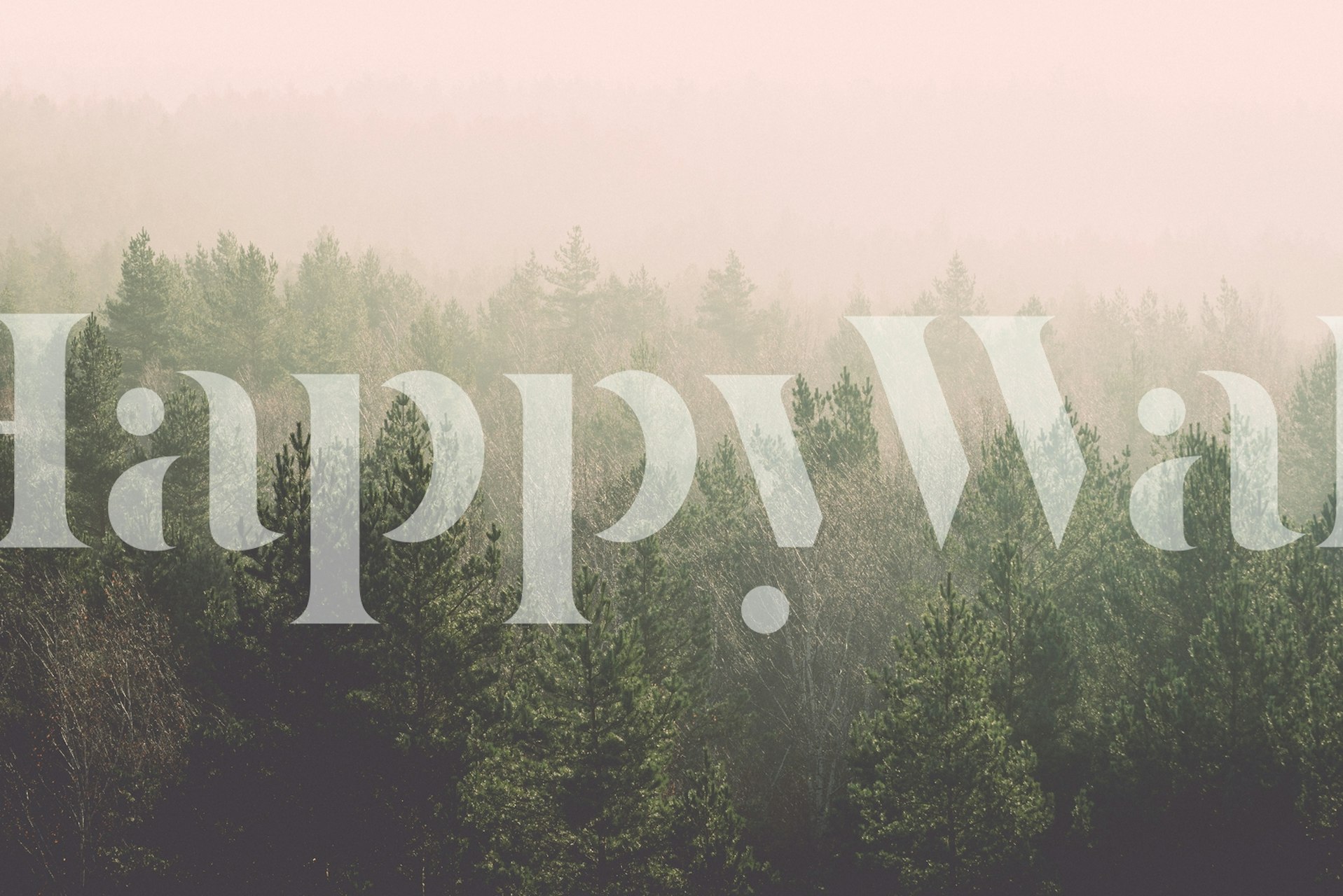 Green trees with misty pink backdrop wallpaper